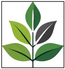 NIK VISION Logo