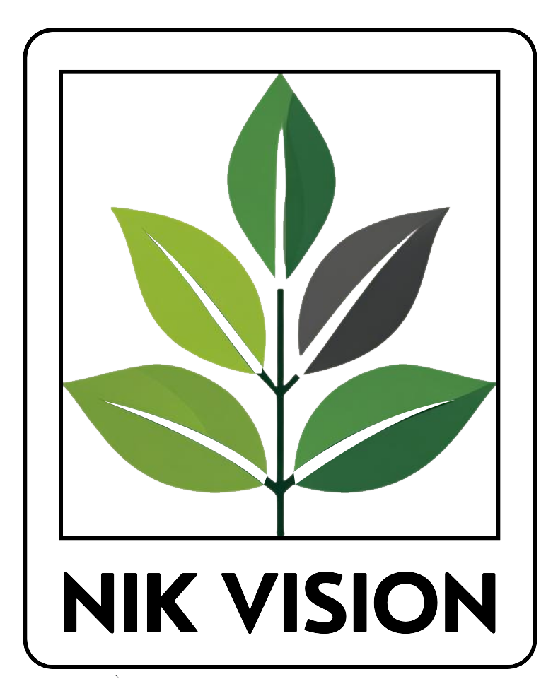 NIK VISION